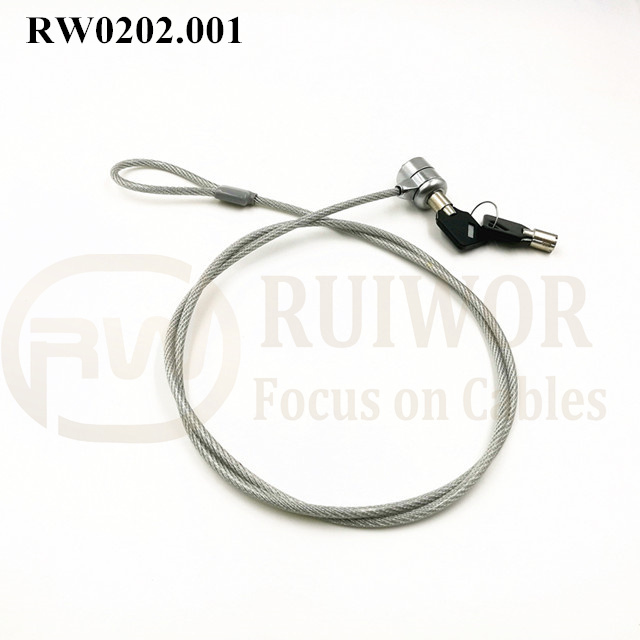 Factory Cheap Hot Laptop Wire Lock -
 RW0202.001 unique & one-to-one correspondence Metal key Laptop anti theft cable lock – Ruiwor