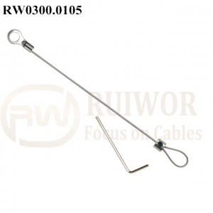 RW0300.0105 Security Cable with ring terminal and Adjustalbe Lasso Loop by Small Lock & Allen Key