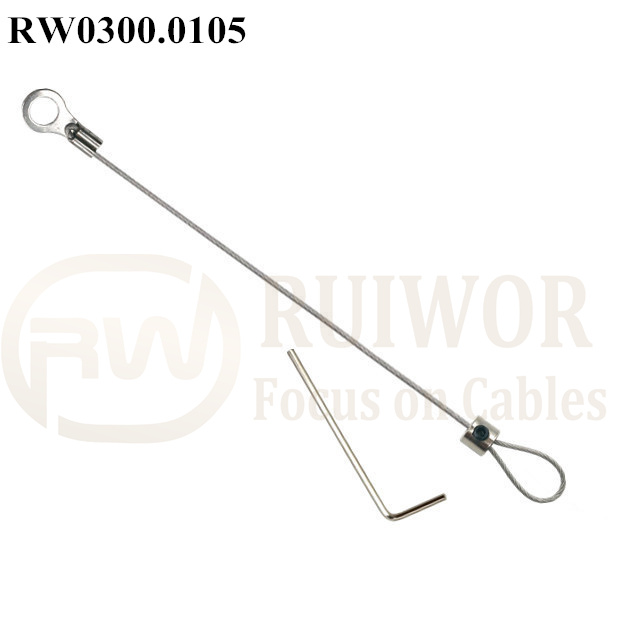 PriceList for Retractable Security Cable – RW0300.0105 Security Cable with ring terminal and Adjustalbe Lasso Loop by Small Lock & Allen Key – Ruiwor