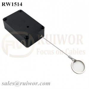 RW1514 Cuboid Multifunctional Retractable Cable with Demountable Key Ring for Retail Product Positioning