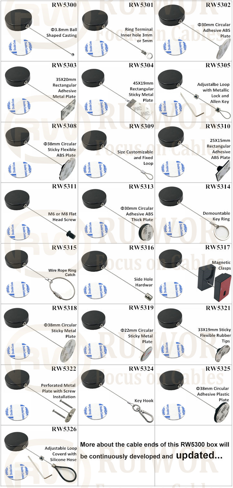 RW5300 Series Security Display Tether